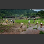 糊仓-狂欢