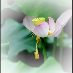 牵挂