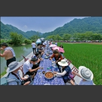 红土坪长龙晏