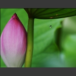 滴水情谊
