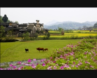 木山春