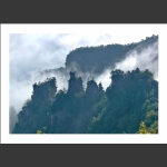 天子山景色