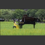 田园奏鸣曲