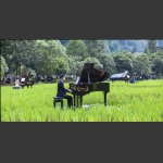 田园奏鸣曲4