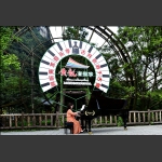 田园琴声