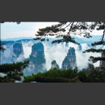 同窗
