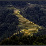 崇岭梯田
