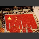 坚实的国土