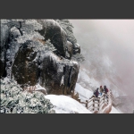 雪后黄山
