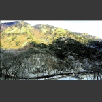 千山无量观