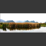 普者黑·西荒湿地