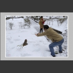 你的姿势比我还好看