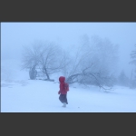 风雪