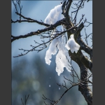 残雪消融