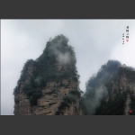 老猴小猴