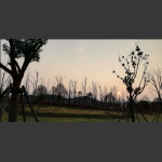 夕阳