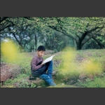 山野读书郎
