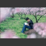 桃花林下读书郎