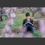 桃花林下读书郎