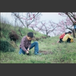 踏青少年郎