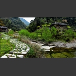 甘溪风光