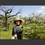 春心荡漾