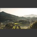 美丽乡村