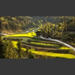 美丽乡村2
