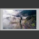 石长溪林场晨雾