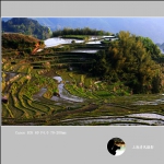梅源梯田_8061