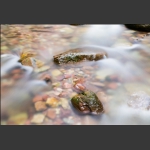 水韵