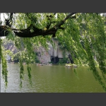 风景如画