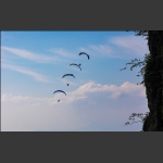 空中编队