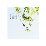 蝉鸣