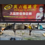 反    差