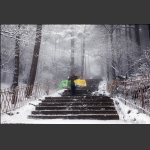 雪山挑夫
