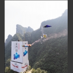 比翼齐飞