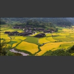 美丽田园