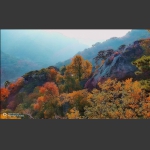 千山秋意