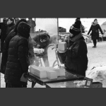 雪中大豆腐
