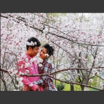 春暖情怀
