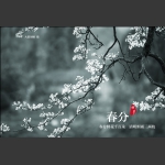 春分鲜花千百朵