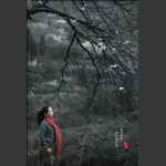 赏春
