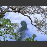 春到天门山