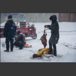 雪中路边掠影