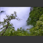 传奇天门山