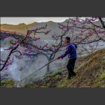 牧歌