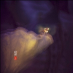 蜓趣