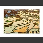 家园