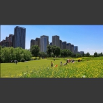花园城市